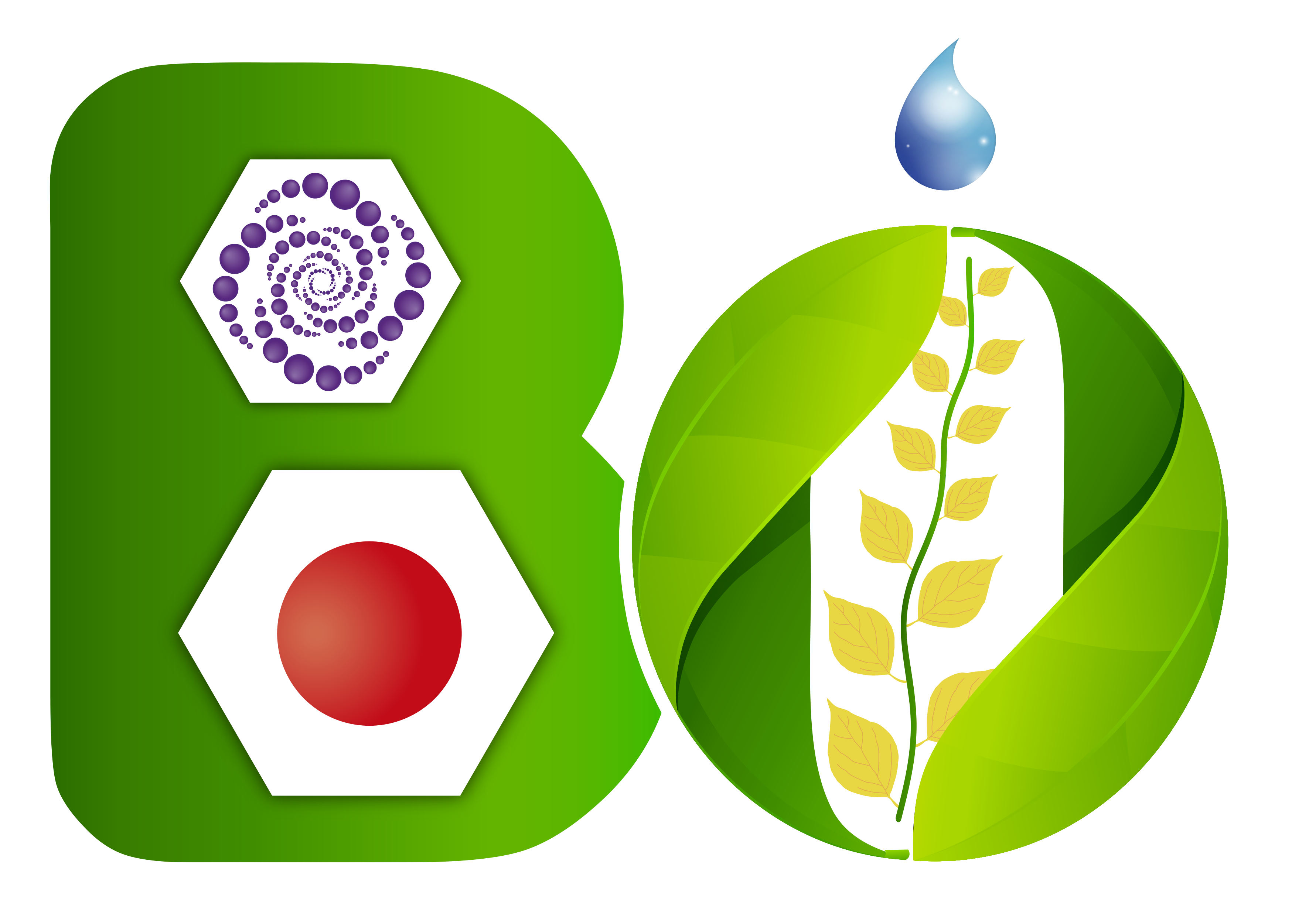 Certification BIO N°CER-OPT10431-C170775